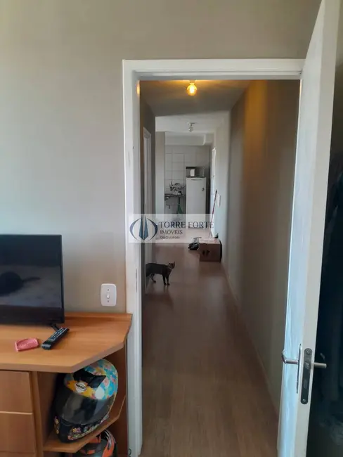 Apartamento com 2 quartos à venda, 47m2 em Parque São Lourenço, São Paulo - SP - imagem 4 Foto 4 de Apartamento com 2 quartos à venda, 47m2 em Parque São Lourenço, São Paulo - SP