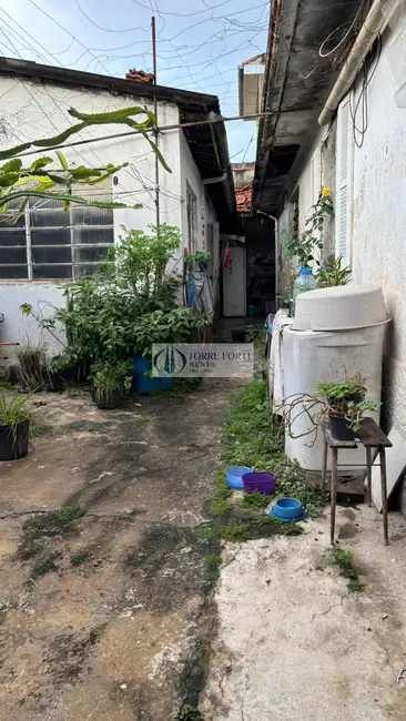 Foto 4 de Terreno / Lote à venda, 223m2 em Vila Antonieta, São Paulo - SP