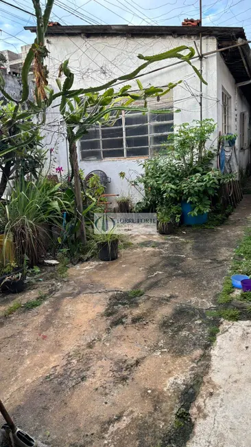 Foto 6 de Terreno / Lote à venda, 223m2 em Vila Antonieta, São Paulo - SP