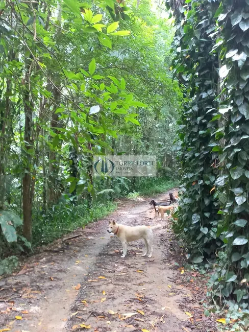 Foto 2 de Chácara com 3 quartos à venda, 370m2 em Chácara Tropical (Caucaia do Alto), Cotia - SP