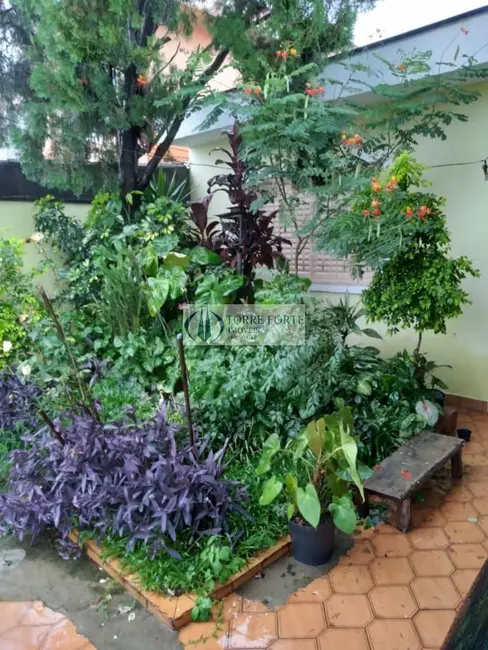 Casa com 3 quartos à venda, 250m2 em Jardim Vila Formosa, São Paulo - SP - imagem 1 Foto 1 de Casa com 3 quartos à venda, 250m2 em Jardim Vila Formosa, São Paulo - SP