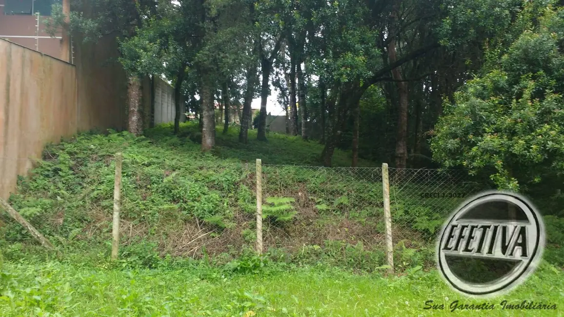 Terreno / Lote à venda, 495m2 em Santa Felicidade, Curitiba - PR - imagem 4 Foto 4 de Terreno / Lote à venda, 495m2 em Santa Felicidade, Curitiba - PR