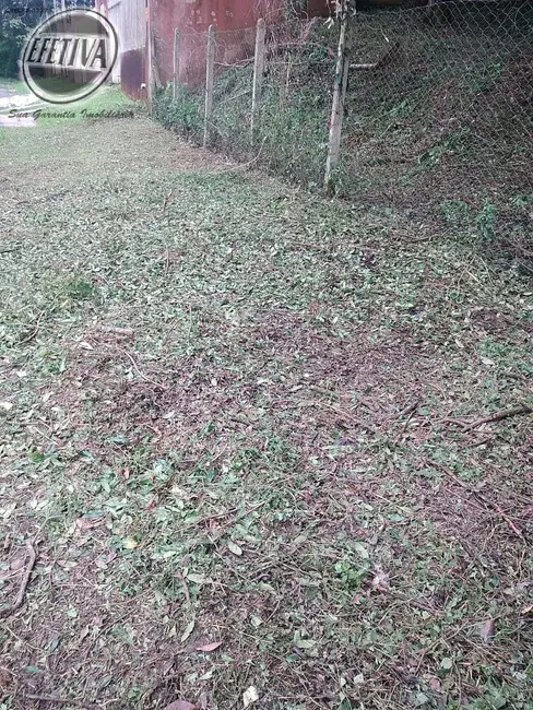 Terreno / Lote à venda, 495m2 em Santa Felicidade, Curitiba - PR - imagem 3 Foto 3 de Terreno / Lote à venda, 495m2 em Santa Felicidade, Curitiba - PR