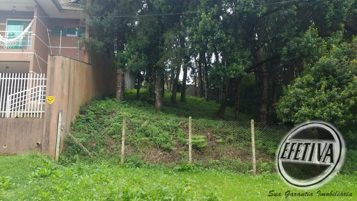 Terreno / Lote à venda, 495m2 em Santa Felicidade, Curitiba - PR - imagem 5 Foto 5 de Terreno / Lote à venda, 495m2 em Santa Felicidade, Curitiba - PR