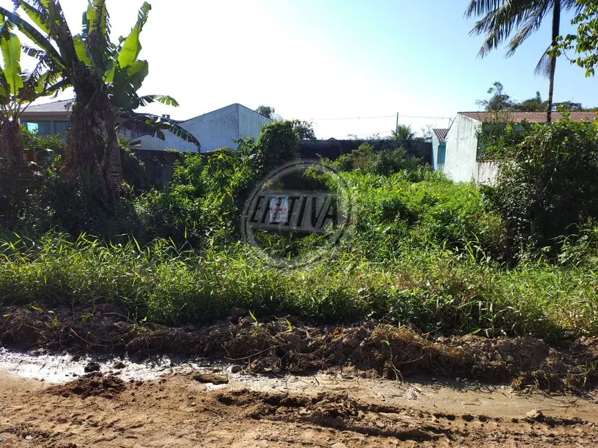 Terreno / Lote à venda, 360m2 em Nereidas, Guaratuba - PR - imagem 7 Foto 7 de Terreno / Lote à venda, 360m2 em Nereidas, Guaratuba - PR