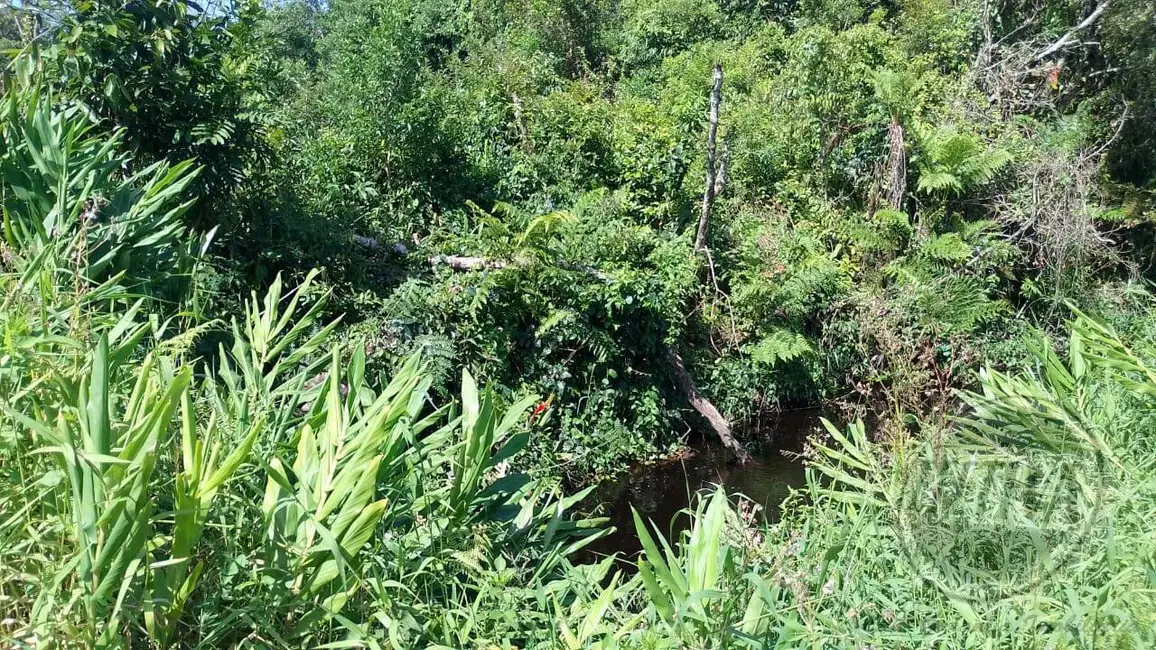 Foto 5 de Terreno / Lote à venda, 420m2 em Guaratuba - PR