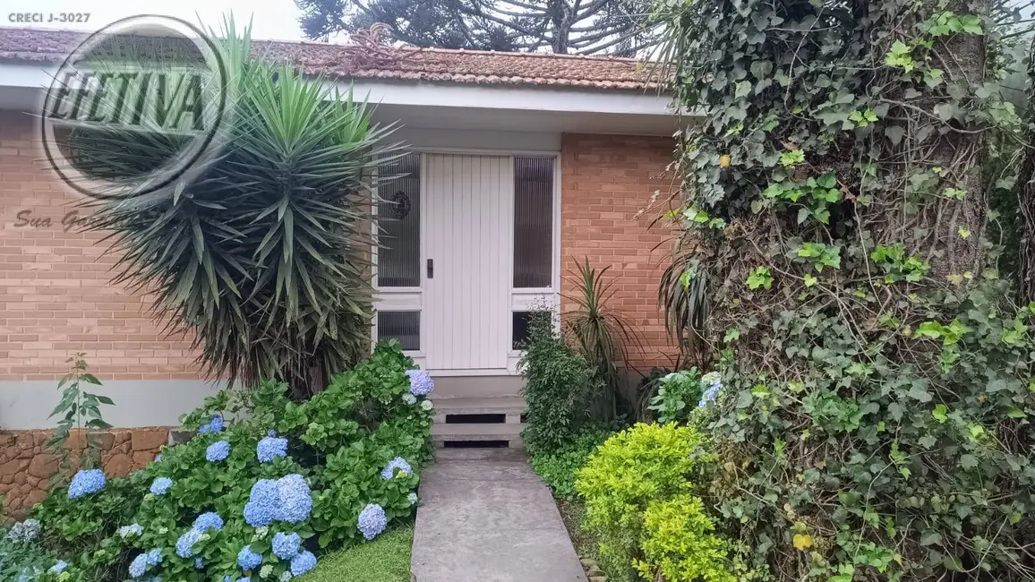 Foto 2 de Casa com 3 quartos à venda, 310m2 em Jardim Social, Curitiba - PR