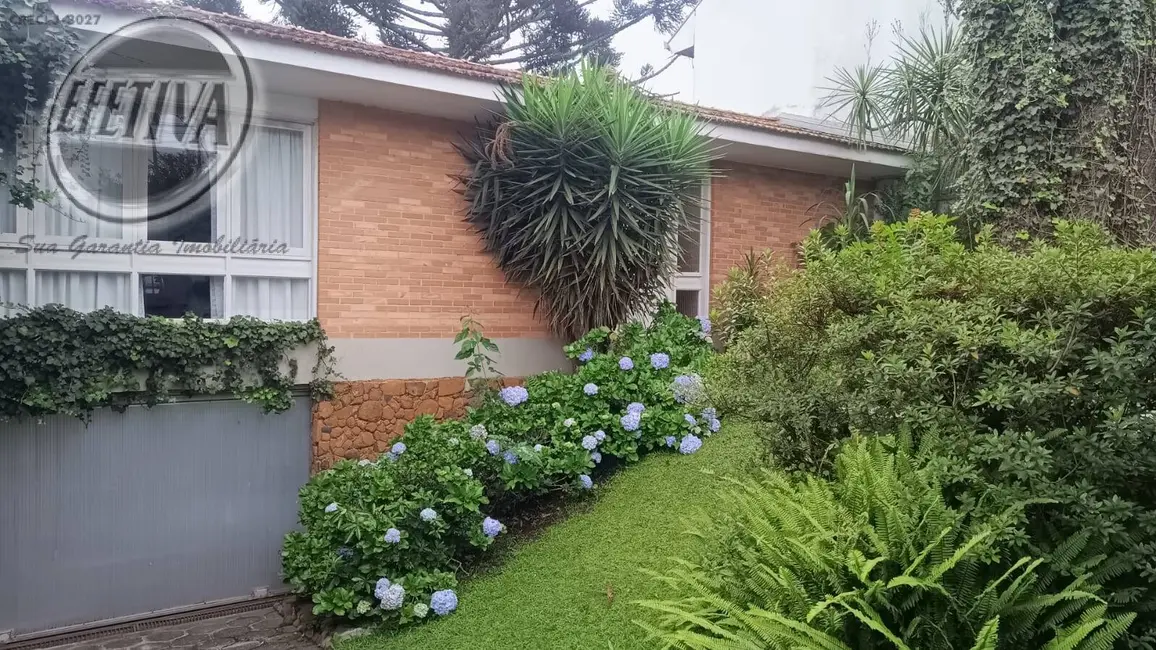 Casa com 3 quartos à venda, 310m2 em Jardim Social, Curitiba - PR - imagem 3 Foto 3 de Casa com 3 quartos à venda, 310m2 em Jardim Social, Curitiba - PR