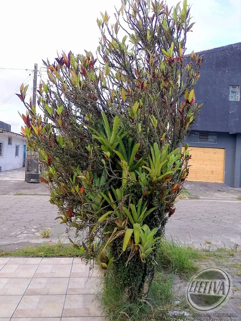 Foto 5 de Casa com 4 quartos à venda, 160m2 em Matinhos - PR