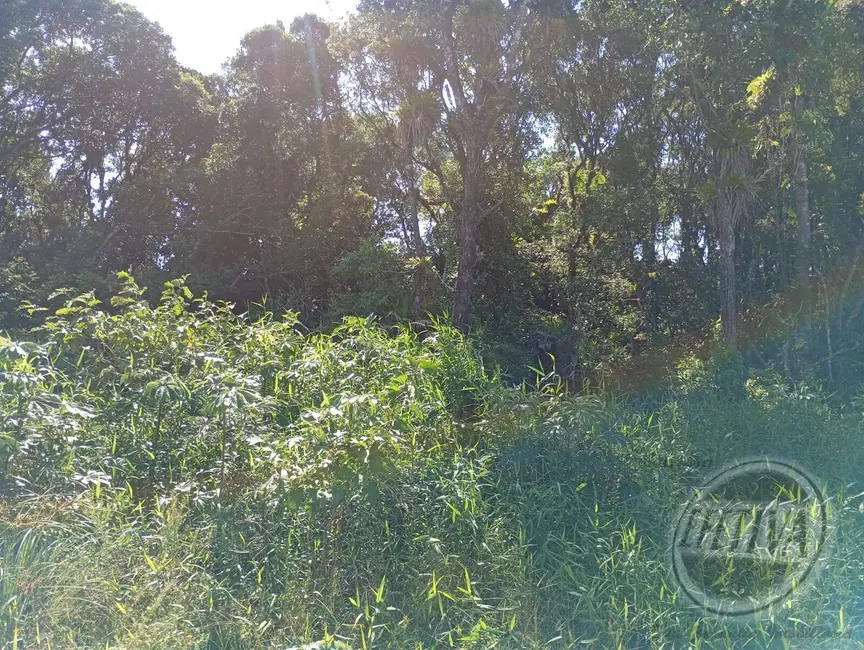 Terreno / Lote à venda, 360m2 em Matinhos - PR - imagem 3 Foto 3 de Terreno / Lote à venda, 360m2 em Matinhos - PR