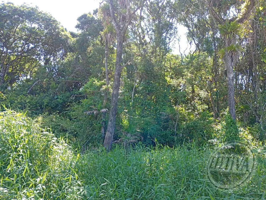 Terreno / Lote à venda, 360m2 em Matinhos - PR - imagem 4 Foto 4 de Terreno / Lote à venda, 360m2 em Matinhos - PR