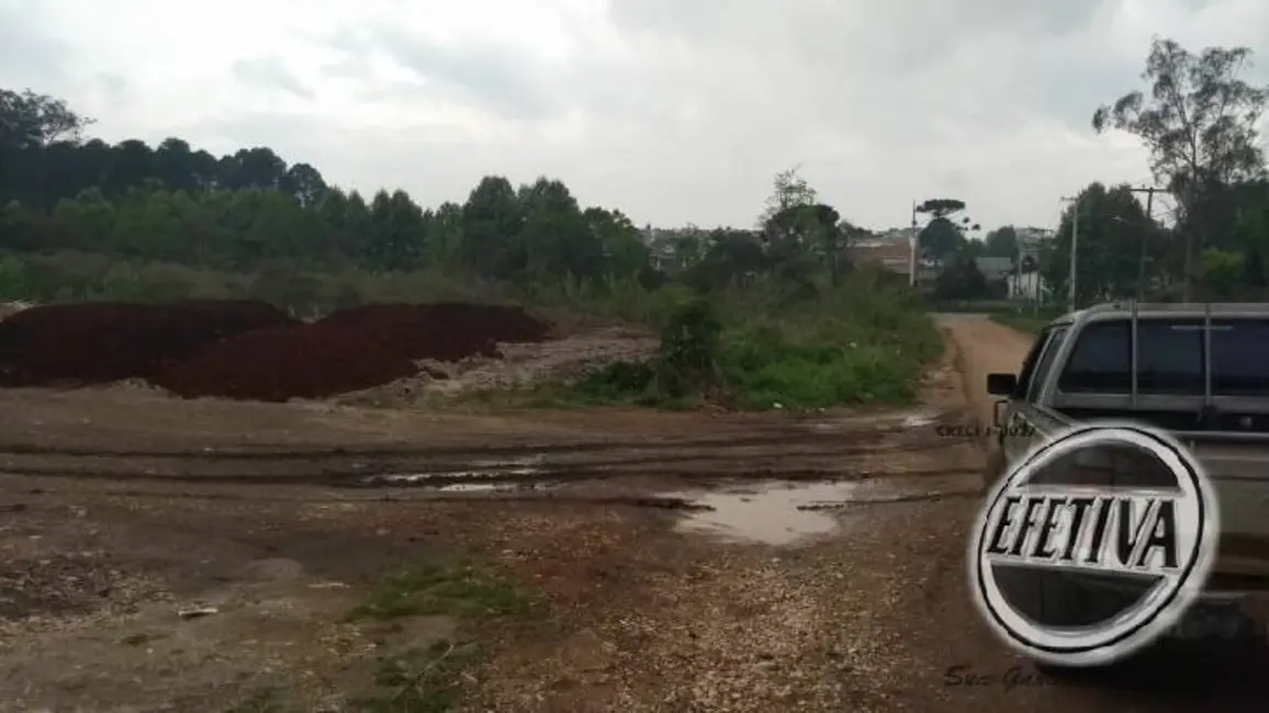 Foto 4 de Terreno / Lote à venda, 4784m2 em Guaraituba, Colombo - PR