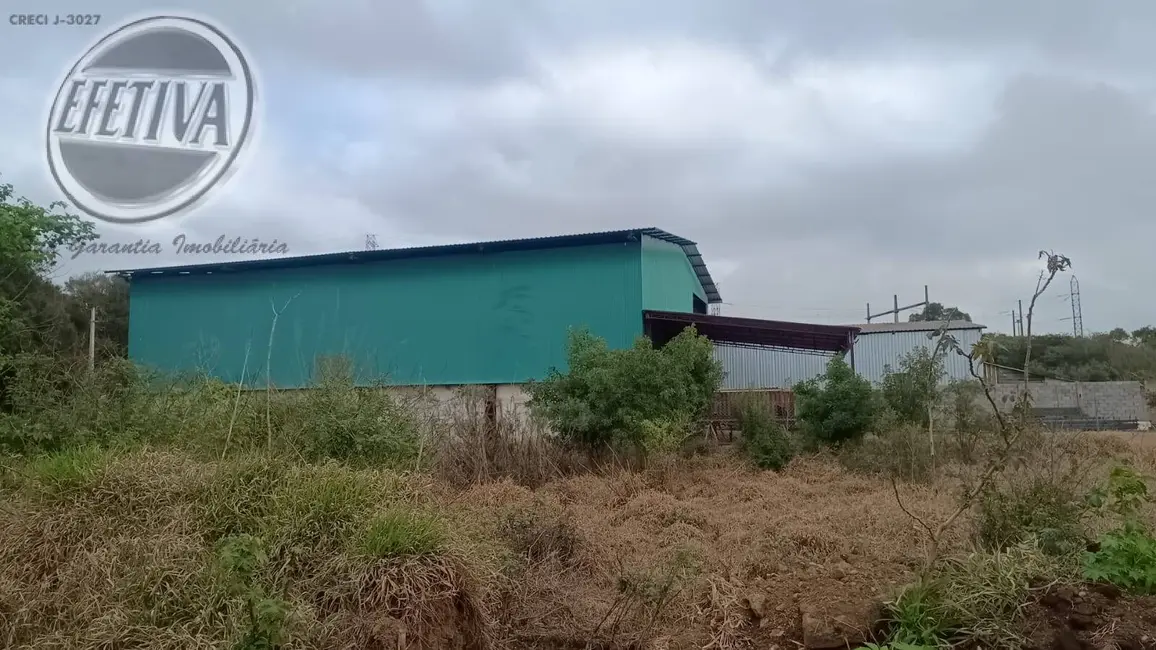 Terreno / Lote à venda, 5500m2 em Thomaz Coelho, Araucaria - PR - imagem 6 Foto 6 de Terreno / Lote à venda, 5500m2 em Thomaz Coelho, Araucaria - PR