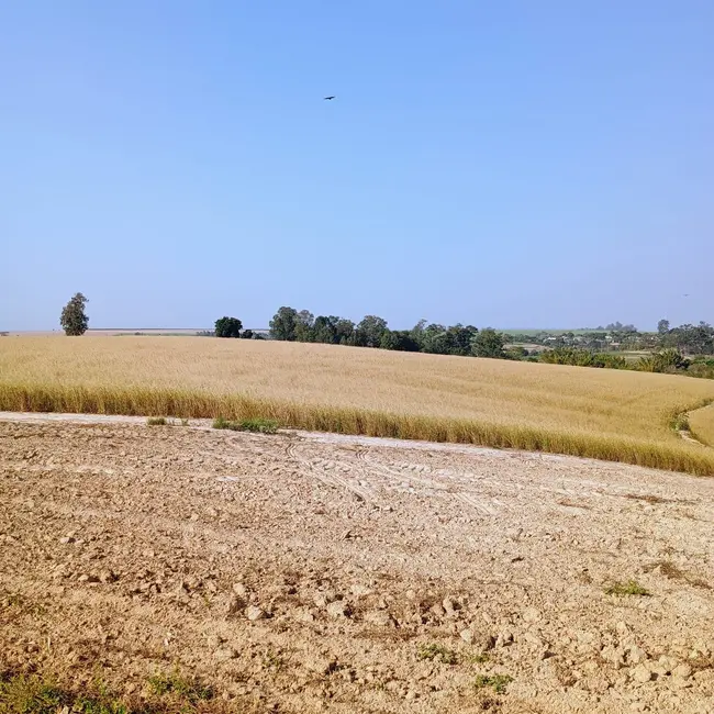 Foto 1 de Terreno / Lote à venda em Tiete - SP