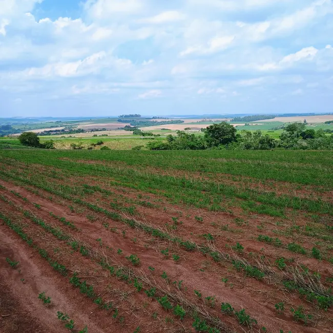 Sítio / Rancho à venda em Tiete - SP - imagem 4 Foto 4 de Sítio / Rancho à venda em Tiete - SP