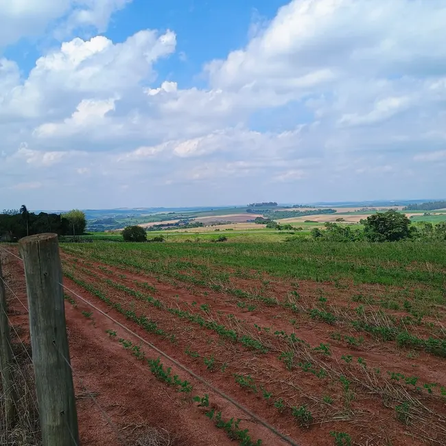 Sítio / Rancho à venda em Tiete - SP - imagem 6 Foto 6 de Sítio / Rancho à venda em Tiete - SP
