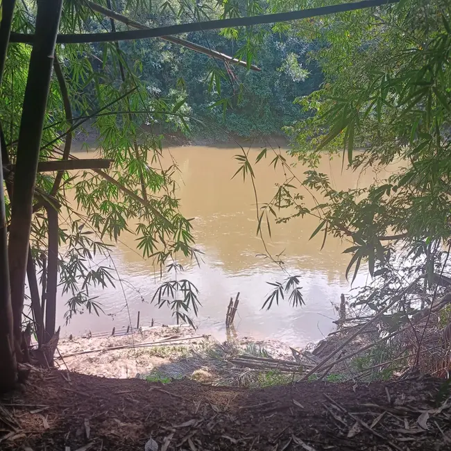 Foto 2 de Chácara com 3 quartos à venda em Boituva - SP