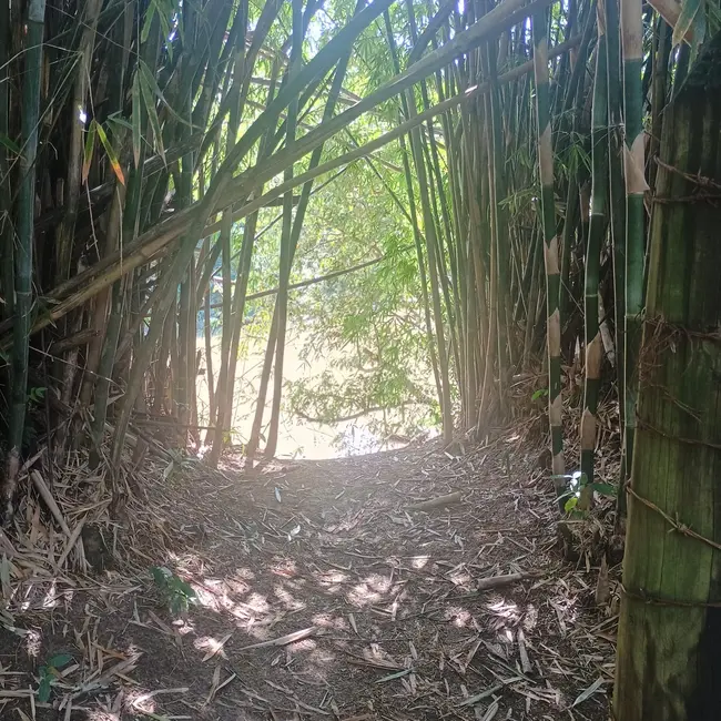 Foto 3 de Chácara com 3 quartos à venda em Boituva - SP