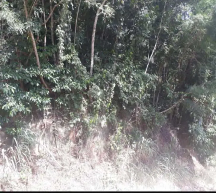 Foto 6 de Terreno / Lote à venda, 732m2 em Itaipu, Niteroi - RJ