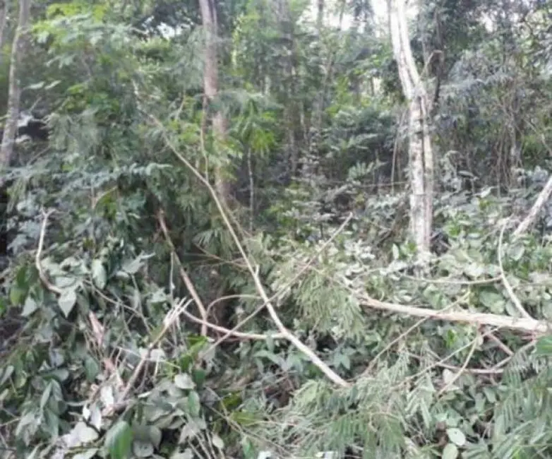 Foto 5 de Terreno / Lote à venda, 450m2 em Itaipu, Niteroi - RJ