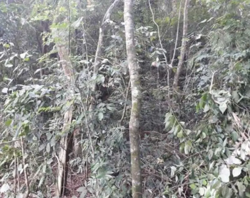 Foto 2 de Terreno / Lote à venda, 450m2 em Itaipu, Niteroi - RJ