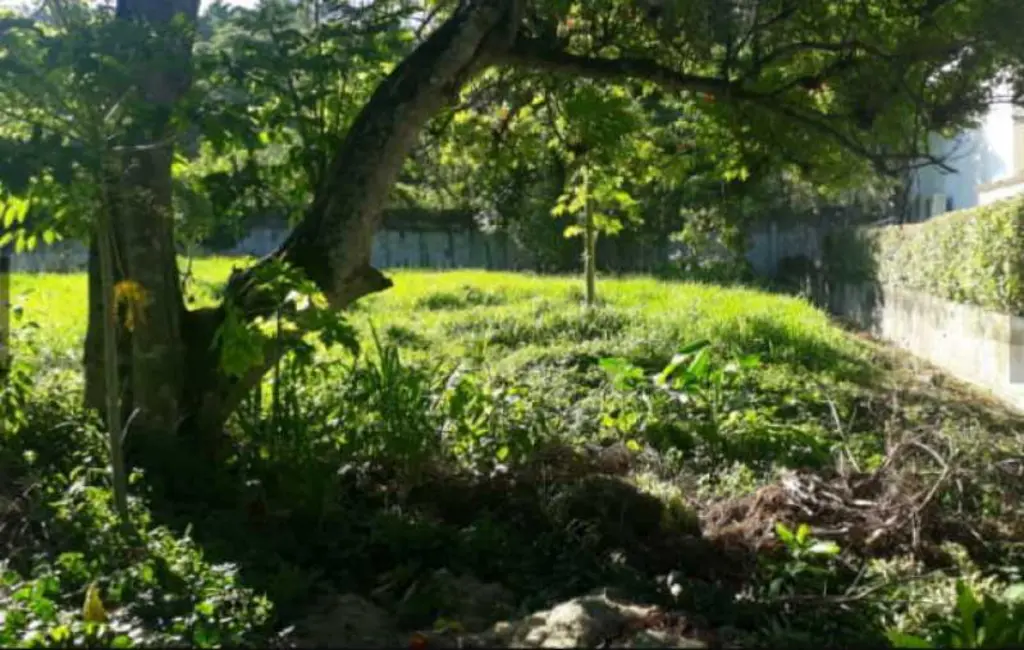 Foto 7 de Terreno / Lote à venda, 1200m2 em Vila Progresso, Niteroi - RJ