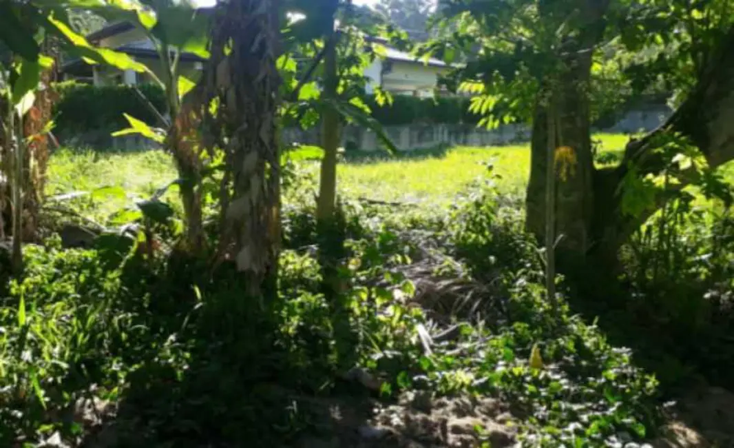 Foto 6 de Terreno / Lote à venda, 1200m2 em Vila Progresso, Niteroi - RJ