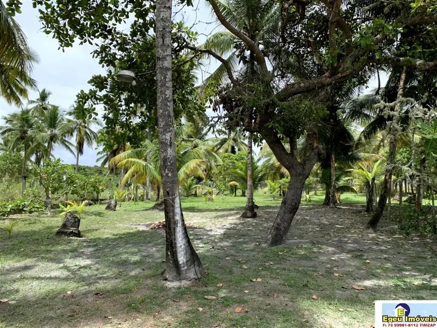 Sítio / Rancho com 3 quartos à venda, 1760m2 em Ilheus - BA - imagem 5 Foto 5 de Sítio / Rancho com 3 quartos à venda, 1760m2 em Ilheus - BA