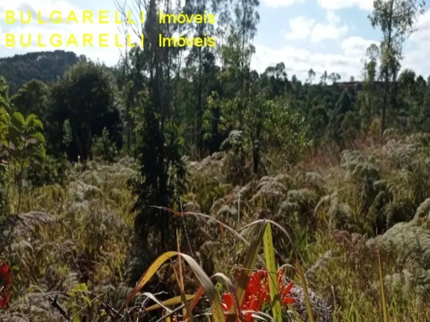 Foto 3 de Terreno / Lote à venda, 3833m2 em Caxambu, Jundiai - SP