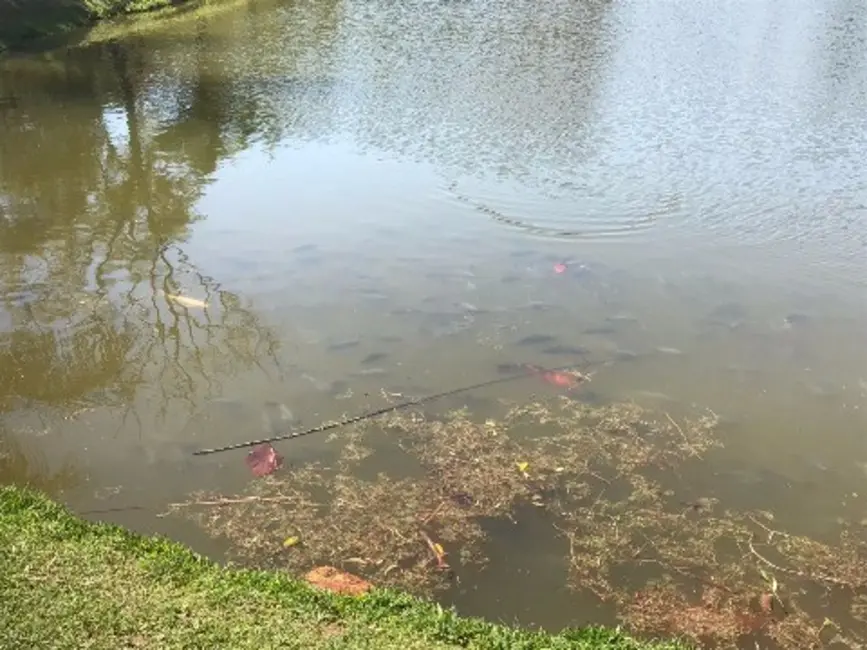 Foto 4 de Terreno / Lote à venda, 900m2 em Itupeva - SP