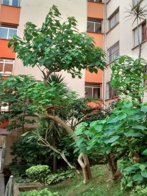 Foto 1 de Apartamento com 2 quartos para alugar, 45m2 em Itaquera, São Paulo - SP