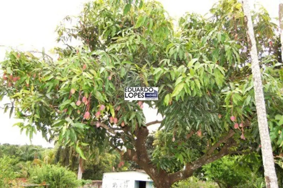 Foto 4 de Chácara com 3 quartos à venda, 150m2 em Jardim Buru, Salto - SP