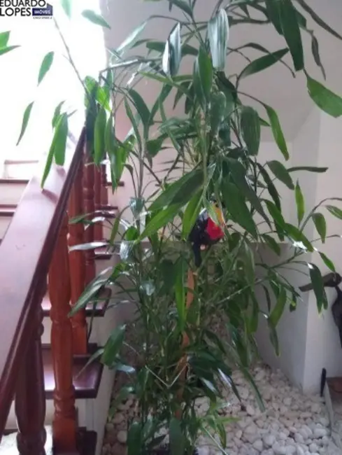 Foto 5 de Chácara com 4 quartos à venda, 400m2 em Vale das Laranjeiras, Indaiatuba - SP