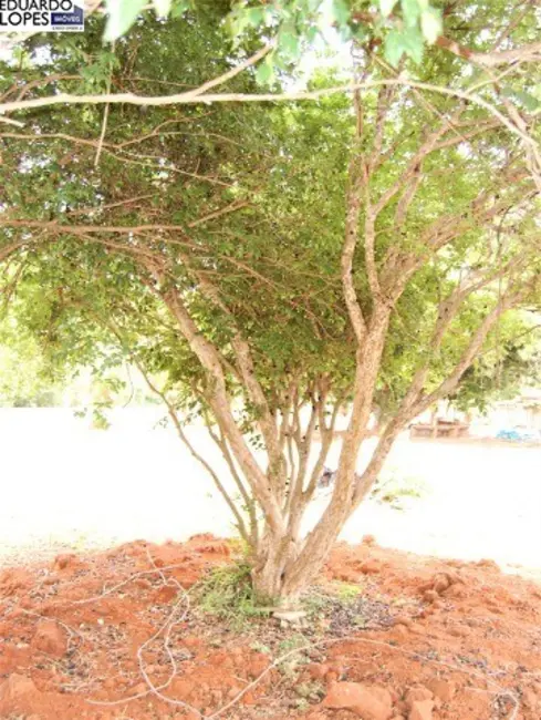 Foto 5 de Terreno / Lote à venda, 5000m2 em Recanto dos Pássaros, Indaiatuba - SP