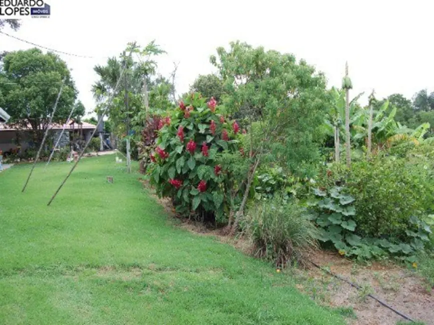 Foto 9 de Sítio / Rancho com 6 quartos à venda, 800m2 em Elias Fausto - SP