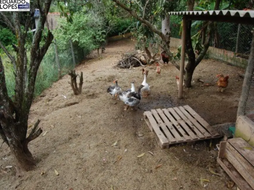 Foto 6 de Sítio / Rancho com 6 quartos à venda, 800m2 em Elias Fausto - SP