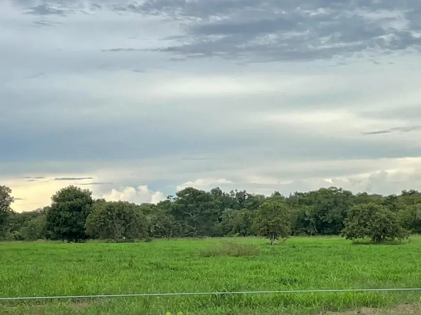 Foto 7 de Fazenda / Haras à venda, 500m2 em Alianca Do Tocantins - TO