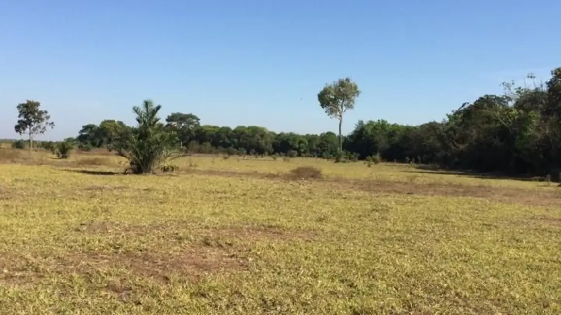 Foto 4 de Fazenda / Haras com 4 quartos à venda, 500m2 em Duere - TO