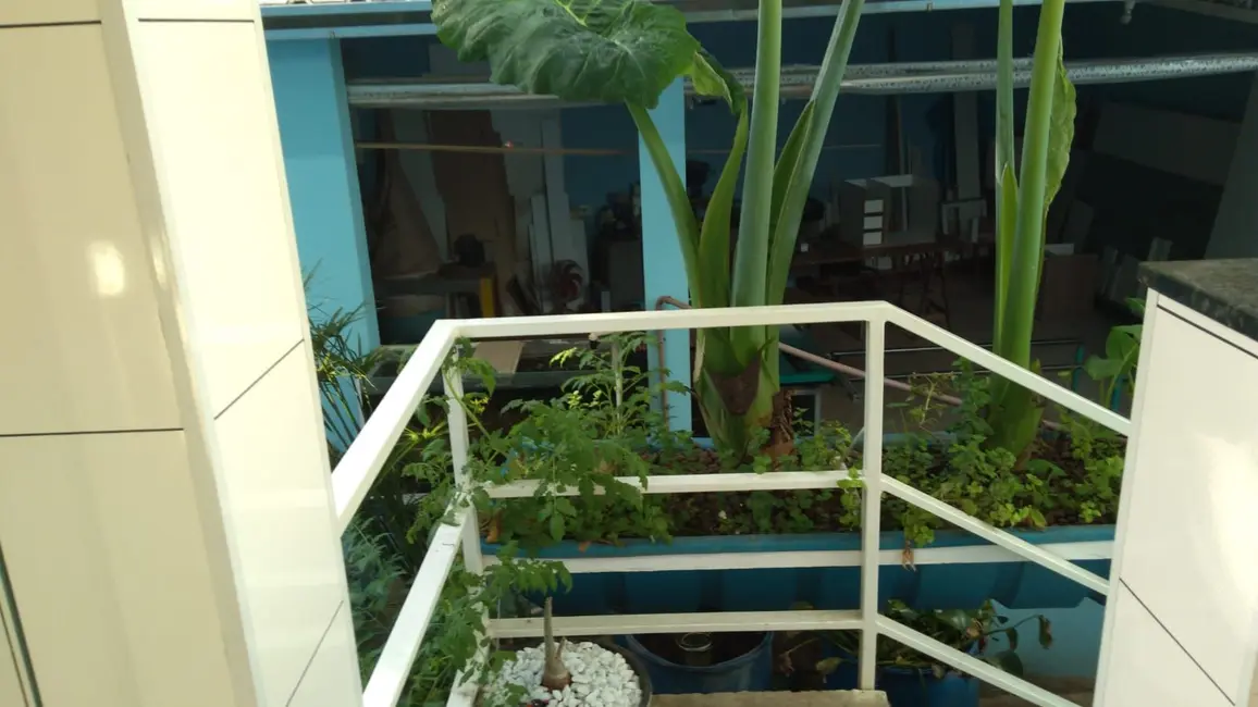 Foto 7 de Casa com 3 quartos à venda, 290m2 em Piracicaba - SP