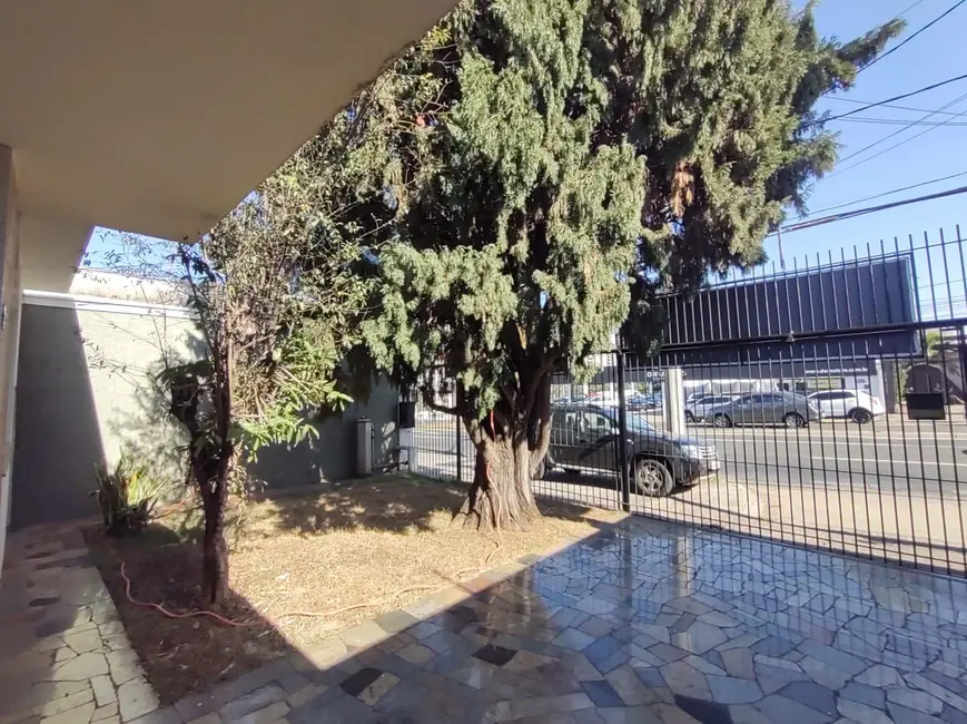 Foto 3 de Casa Comercial com 3 quartos para alugar, 219m2 em Piracicaba - SP