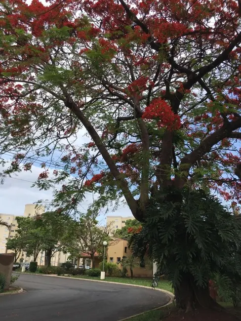 Foto 6 de Apartamento com 2 quartos à venda, 55m2 em Piracicaba - SP