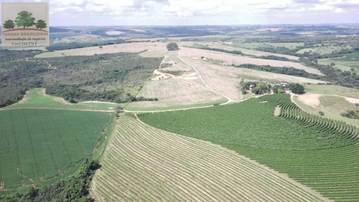 Foto 1 de Fazenda / Haras com 10 quartos à venda, 2000m2 em Perdizes - MG