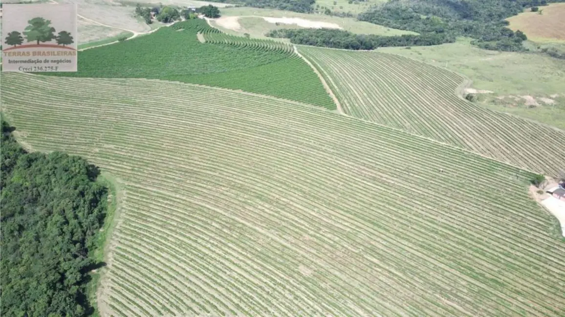 Foto 9 de Fazenda / Haras com 10 quartos à venda, 2000m2 em Perdizes - MG