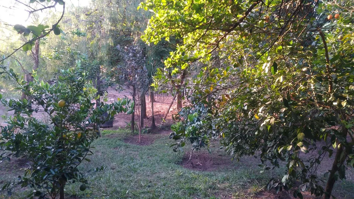Foto 8 de Chácara com 3 quartos à venda, 300m2 em Piracicaba - SP