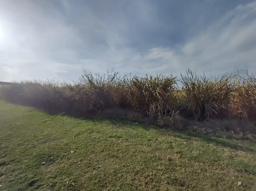 Terreno / Lote para alugar, 1100m2 em Piracicaba - SP - imagem 5 Foto 5 de Terreno / Lote para alugar, 1100m2 em Piracicaba - SP