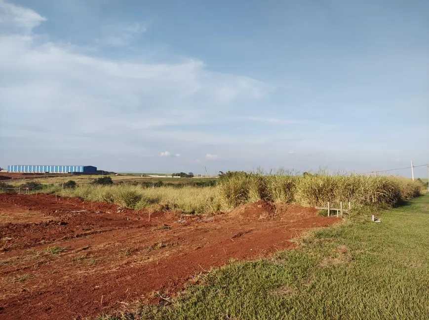 Terreno / Lote para alugar, 1100m2 em Piracicaba - SP - imagem 8 Foto 8 de Terreno / Lote para alugar, 1100m2 em Piracicaba - SP