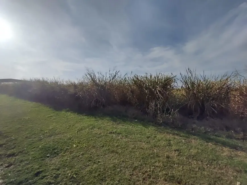 Terreno / Lote para alugar, 1100m2 em Piracicaba - SP - imagem 6 Foto 6 de Terreno / Lote para alugar, 1100m2 em Piracicaba - SP