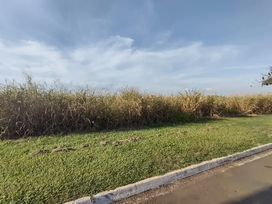 Terreno / Lote para alugar, 1100m2 em Piracicaba - SP - imagem 9 Foto 9 de Terreno / Lote para alugar, 1100m2 em Piracicaba - SP