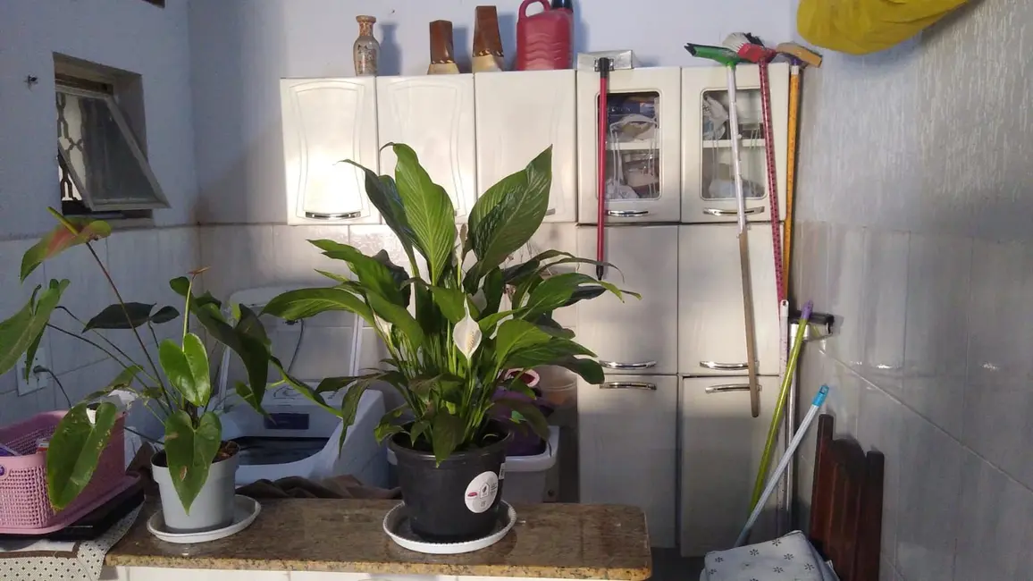 Foto 5 de Casa com 3 quartos à venda, 291m2 em Piracicaba - SP