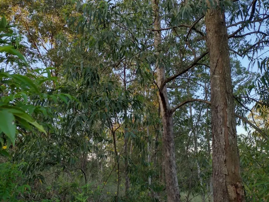 Foto 4 de Terreno / Lote à venda, 1900m2 em Piracicaba - SP